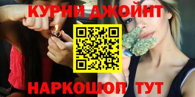 гидра Краснознаменск