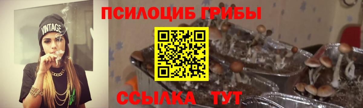 Биробиджан  Псилоцибиновые грибы Psilocybine cubensis  Вход с VPN 